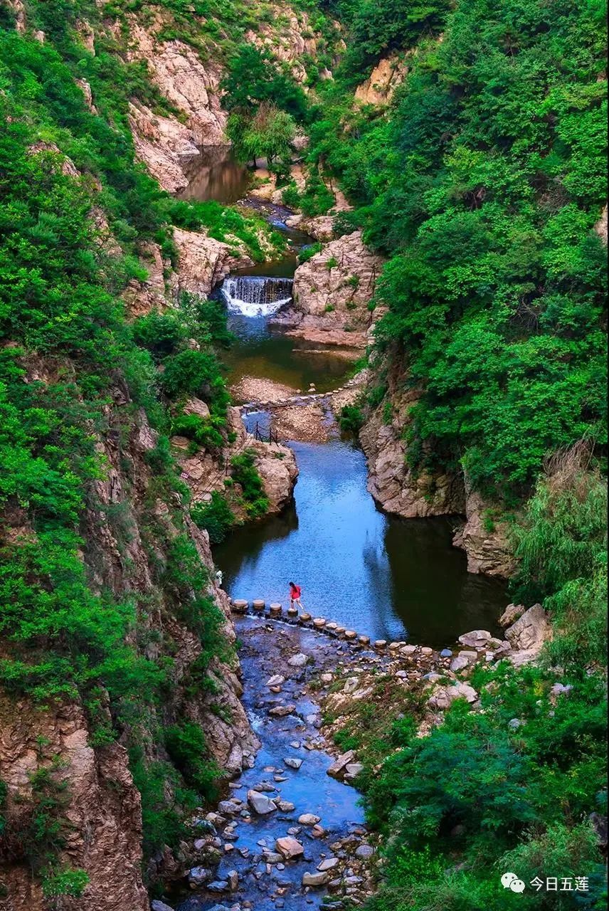 来五莲吧我养你