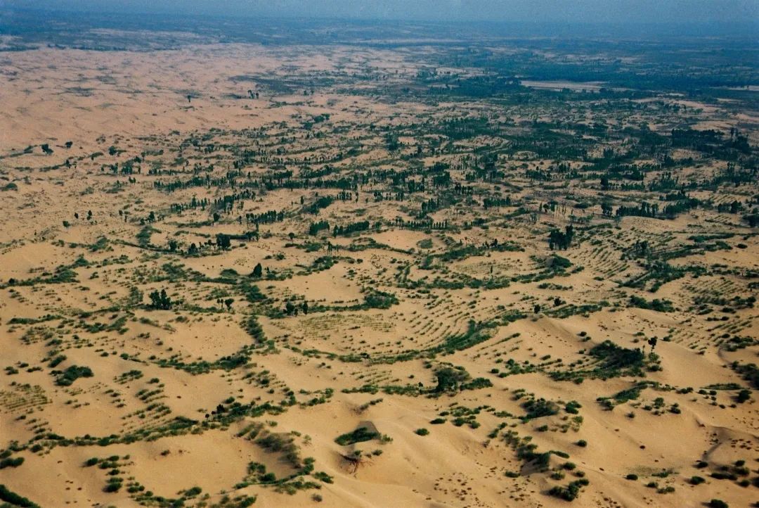 内蒙古5年治理沙化土地近7200万亩