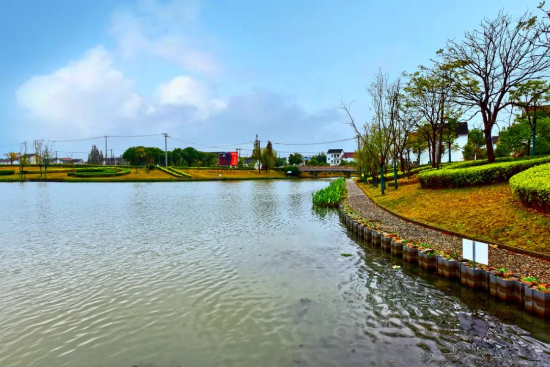 浦东这些最美河道看看有你熟悉的吗