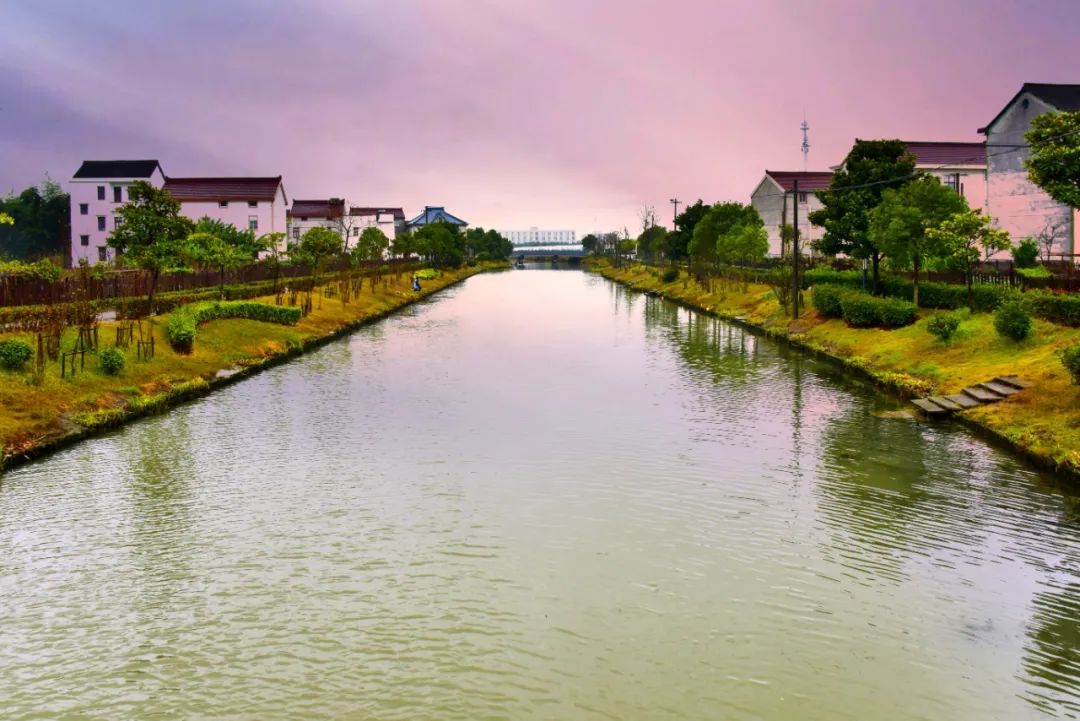 浦东这些最美河道看看有你熟悉的吗