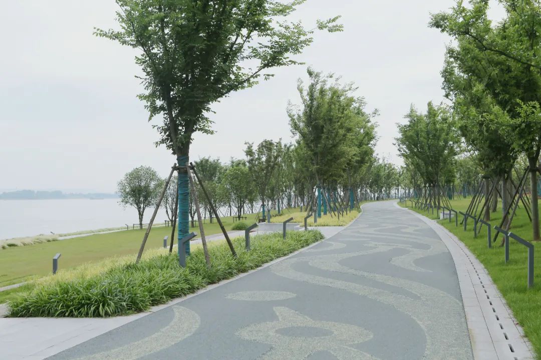爱上枝江与滨江公园的约会