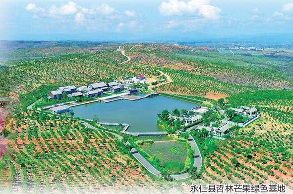 云南楚雄发挥优势激活潜力努力成为滇中崛起增长极