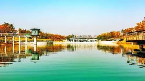 【聚焦】霸州:实现垃圾“无处安放”到“变废为宝”_澎湃号·政务_澎湃新闻-The Paper