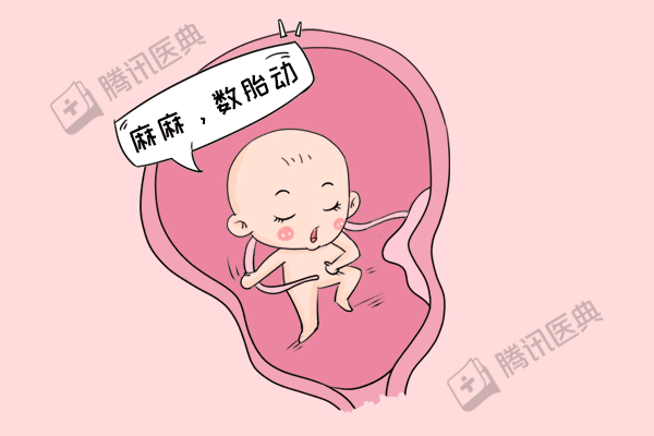 胎动计数方式:上午,下午,晚上3个时段各数1小时;不用固定时间只要这个