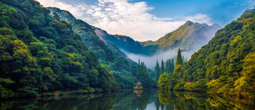 各县市区领任务啦2025年浙江要基本形成覆盖城乡功能强大的森林和湿地