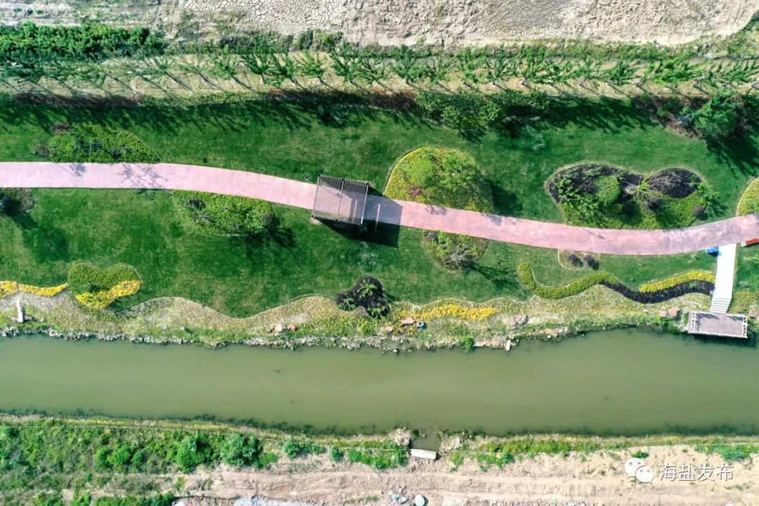 串起一路好风景海盐这条绿道获全市最美