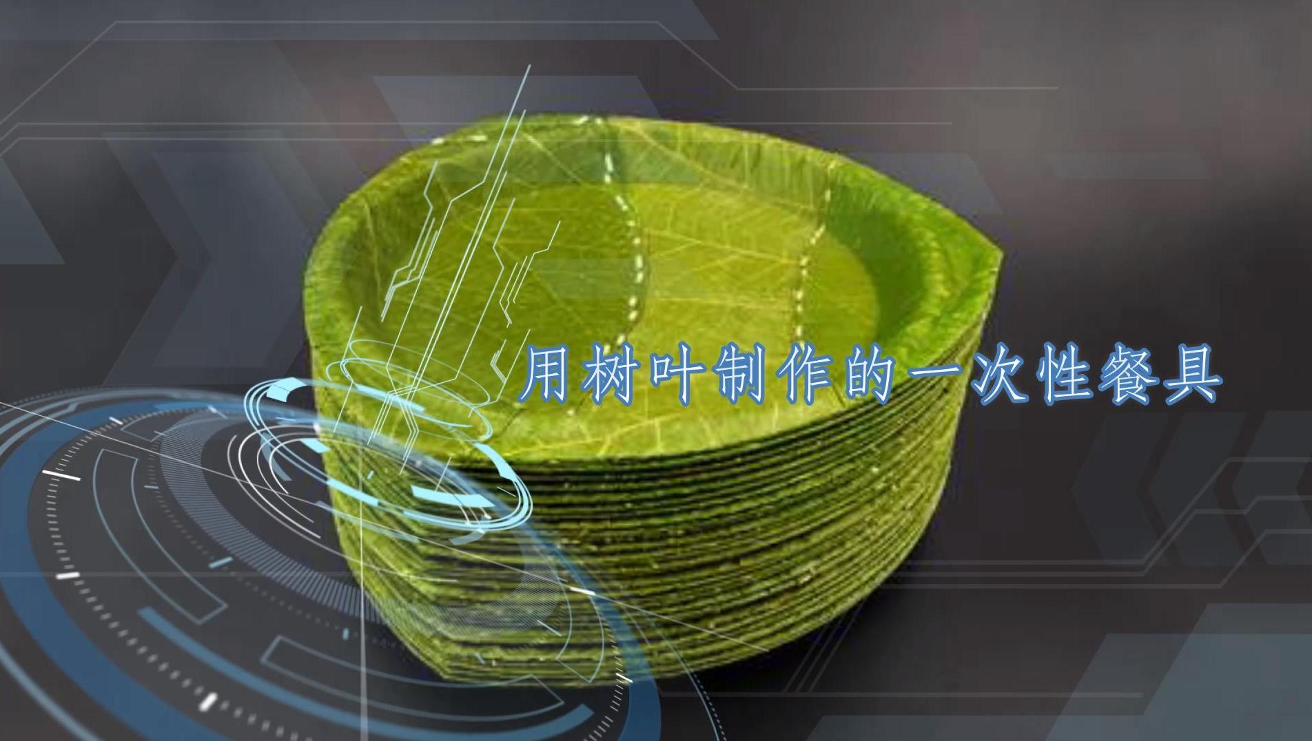 用樹葉制作的一次性餐具,純天然零污染