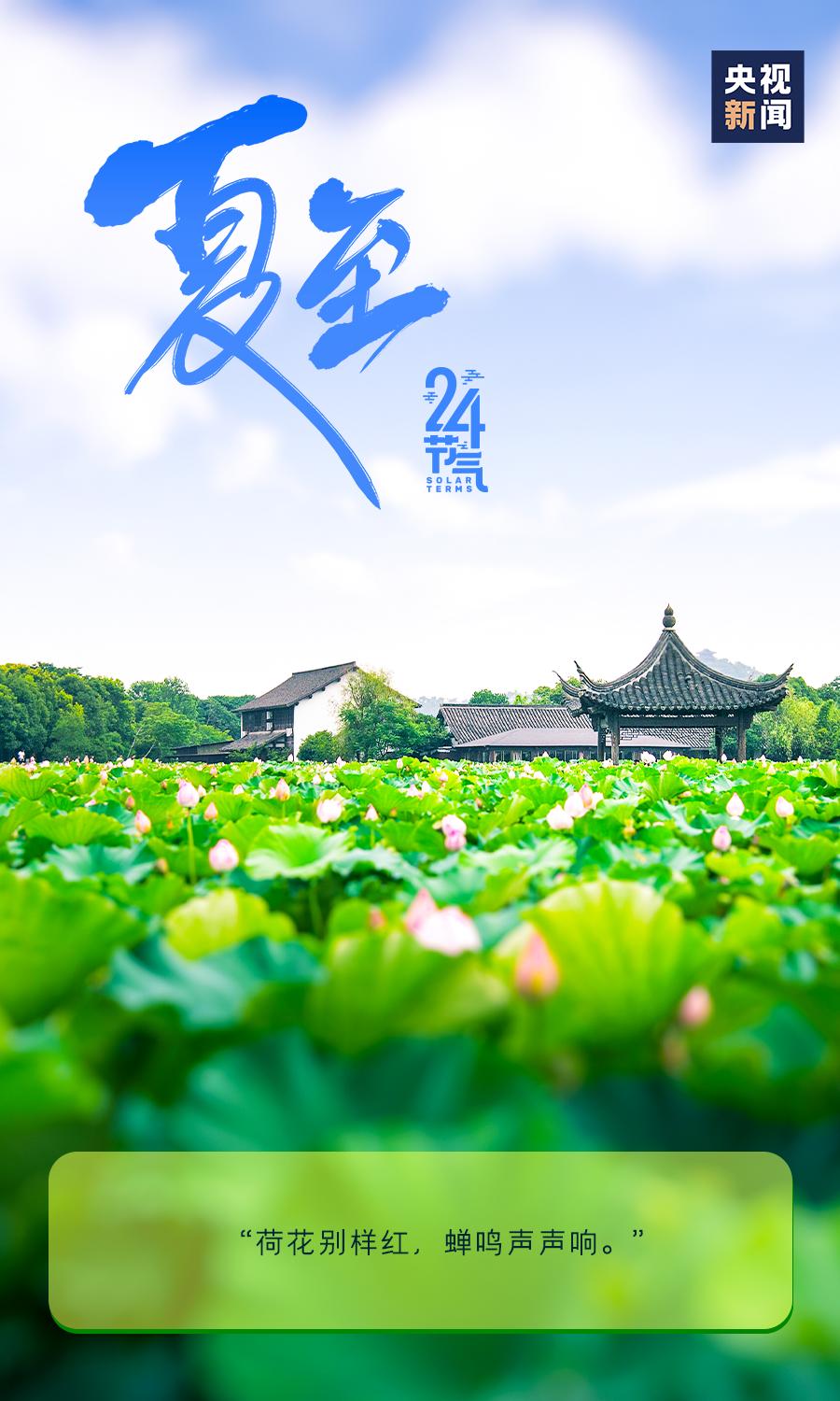 消夏防暑记得要及时补水哦~夏至后气温高,湿度大所谓"夏至三庚数头伏"