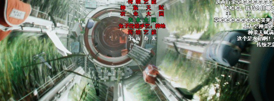 天宫空间站种菜,网友表示“种花家传统艺能”
