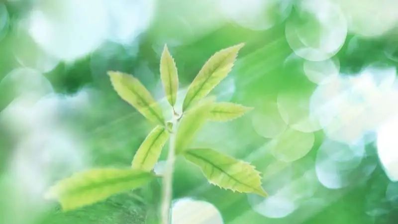 数字货币支付方式_数字货币支付_数字货币的支付工具是什么