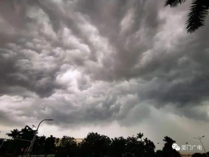 暴雨雷电马上到!厦门雨雨雨 将一直下到