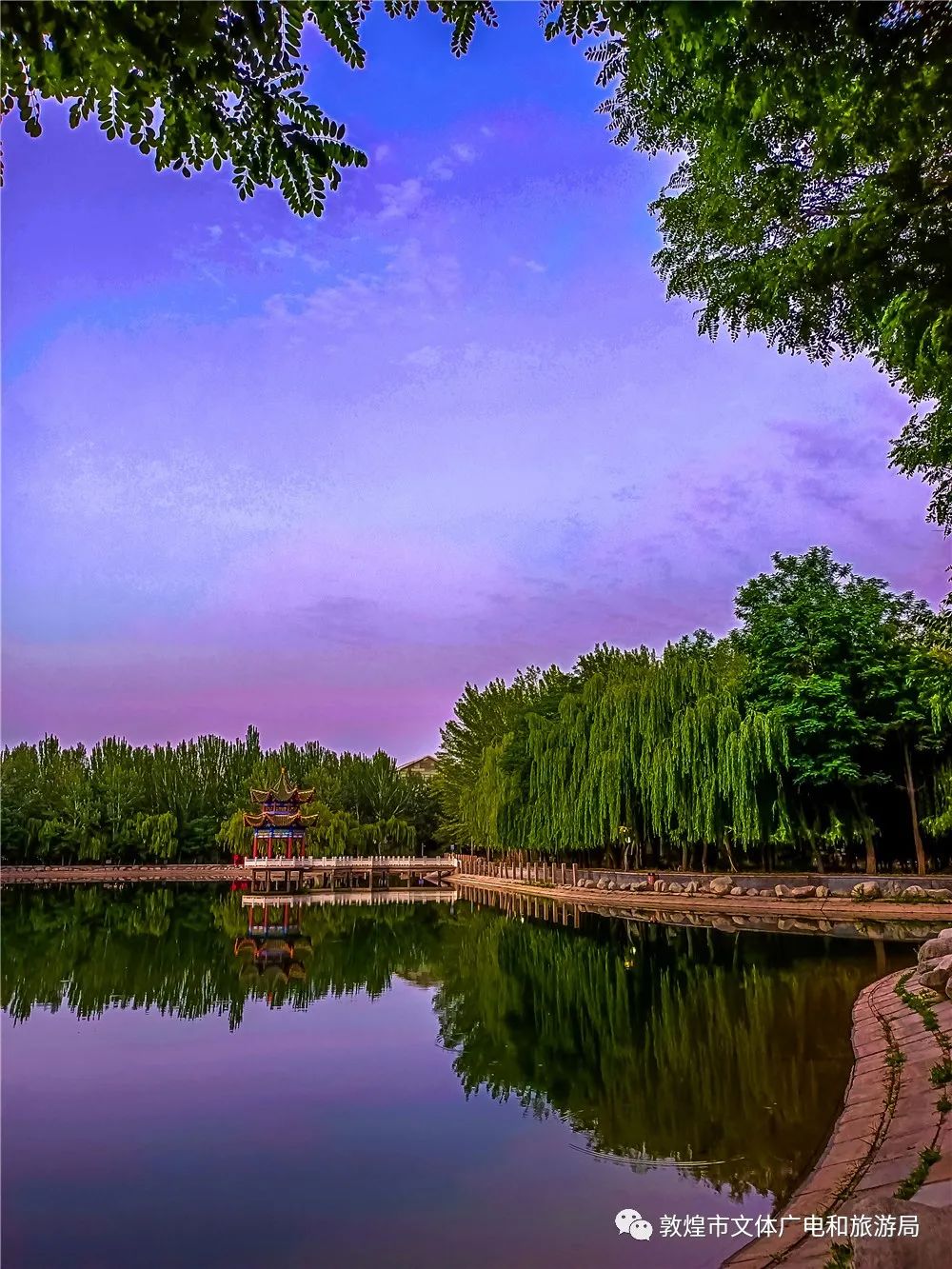 绿染敦煌夏日敦煌公园清爽怡人