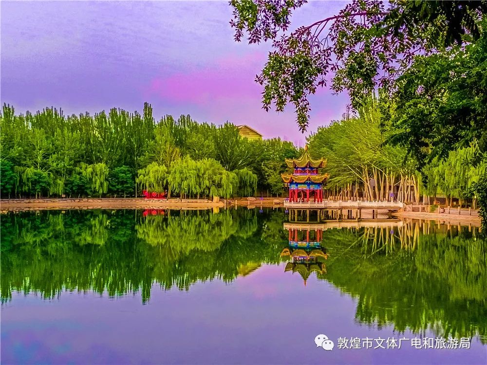 绿染敦煌夏日敦煌公园清爽怡人