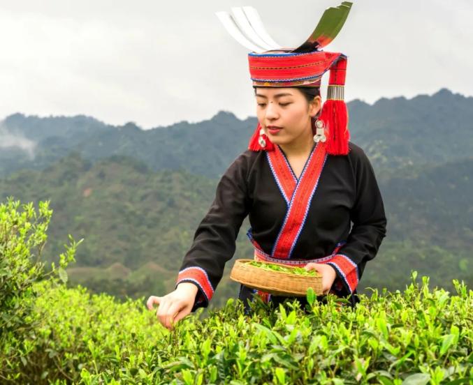 大瑶山"两山理论"的生动实践 金秀推动绿色发展观察