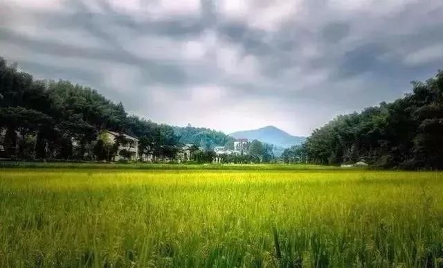 余江区获得这张金色名片