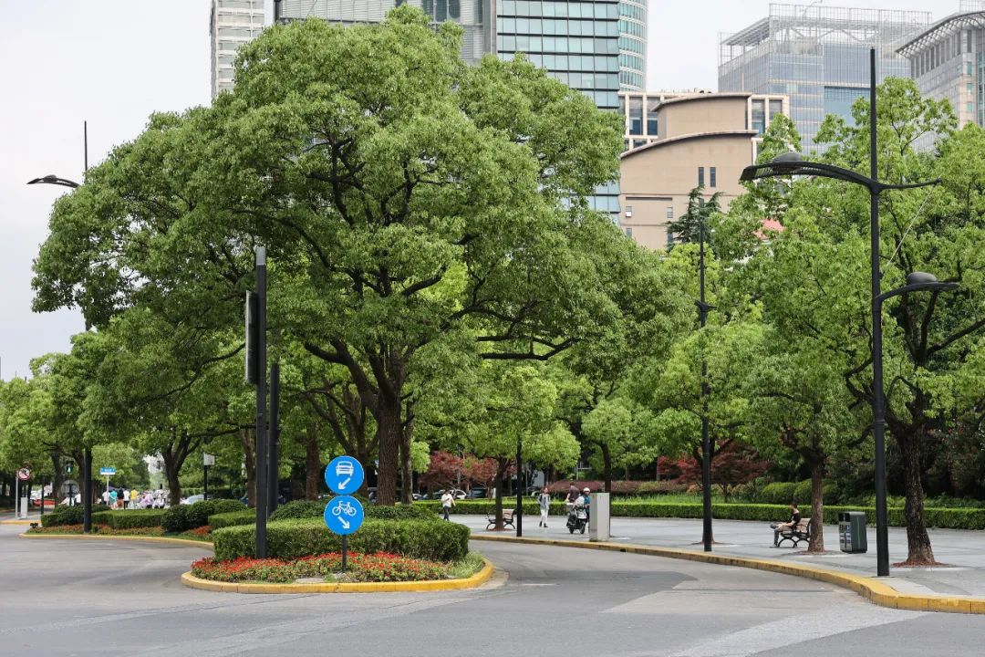 四季皆美景园辉映灯光与园林景观,与道路绿化,与周边建筑的高度融合