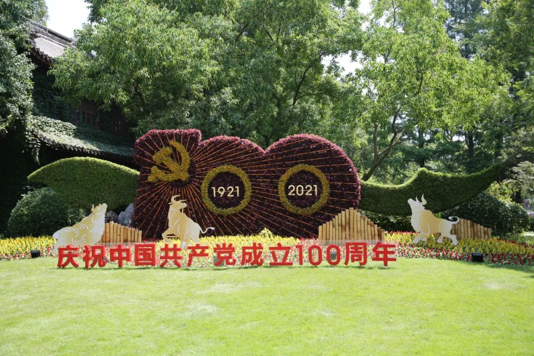 庆祝建党100周年嘉定打造9000平方米花坛花境