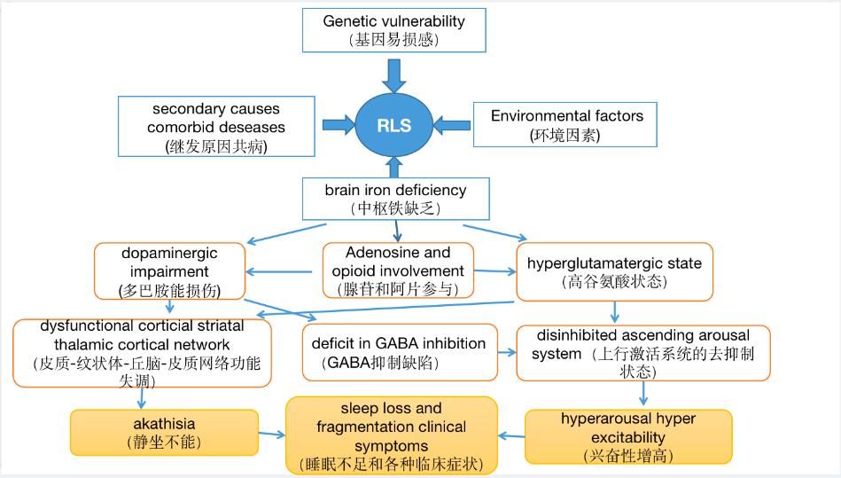 不寧腿綜合徵診斷,治療,發病機制,聽專家談最新進展