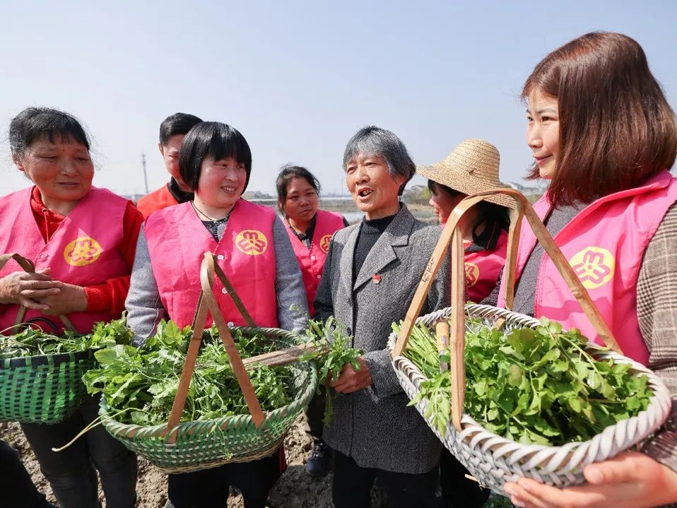 喜报！今天，“德清嫂”又捧回一荣誉！赶紧来看！(图18)