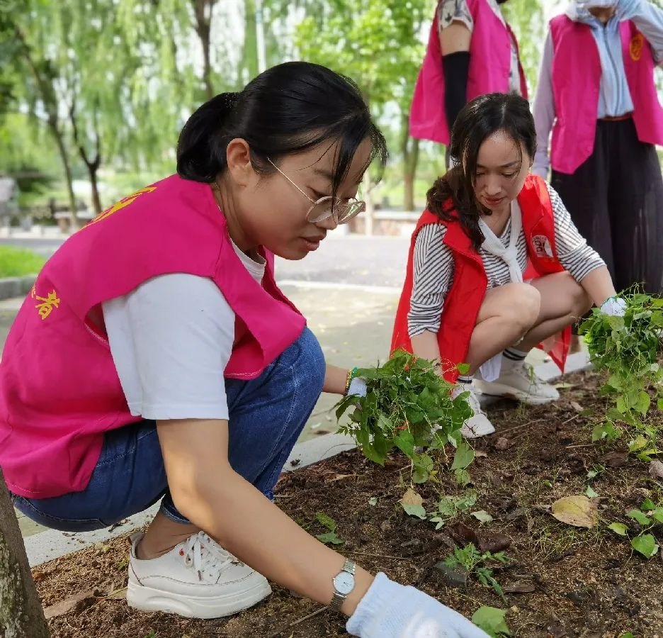 喜报！今天，“德清嫂”又捧回一荣誉！赶紧来看！(图36)
