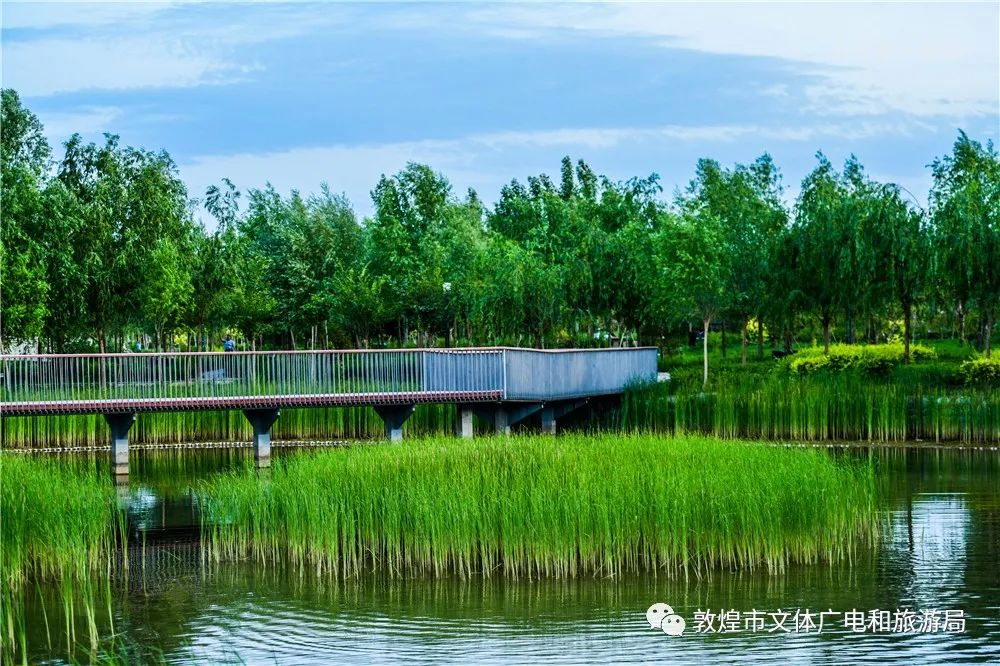 绿染敦煌敦煌飞天公园风景如画惹人喜爱