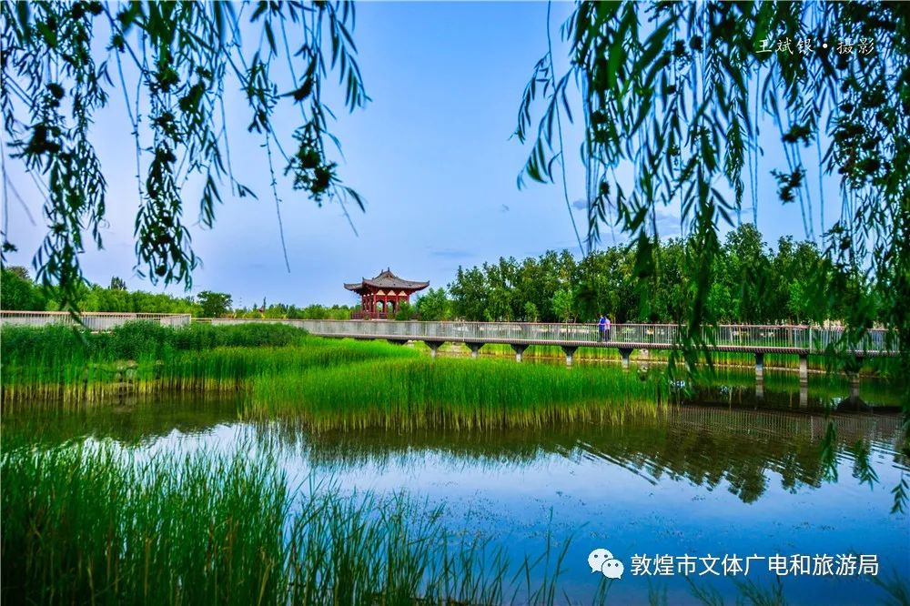 绿染敦煌敦煌飞天公园风景如画惹人喜爱