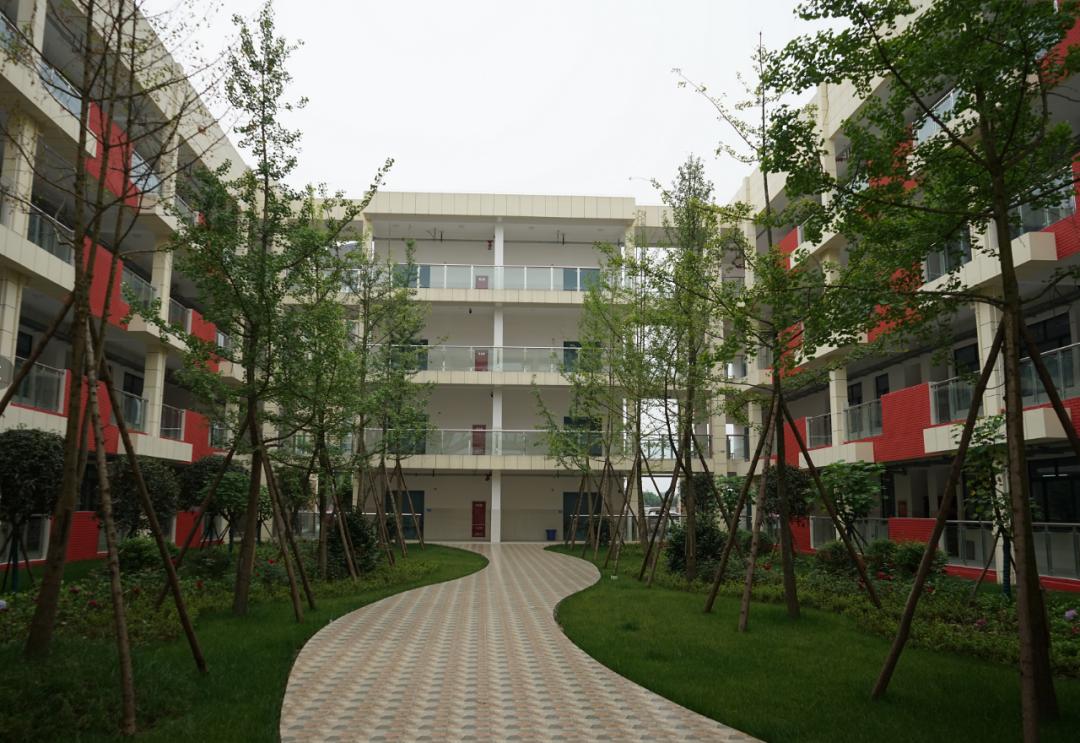 来了早知德阳事