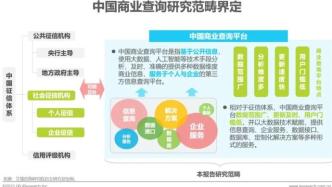 2021年中国商业查询发展研究报告