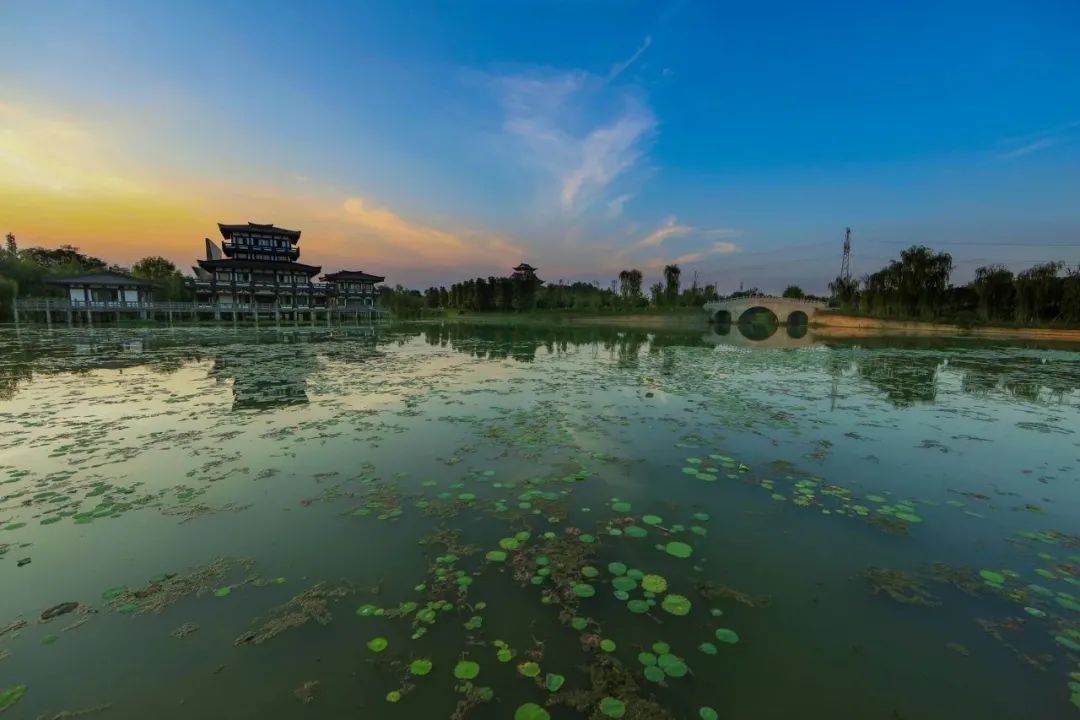 凤凰湖生态湿地公园 摄影:杨玉如 极美成都—— 公园城市最美地标top