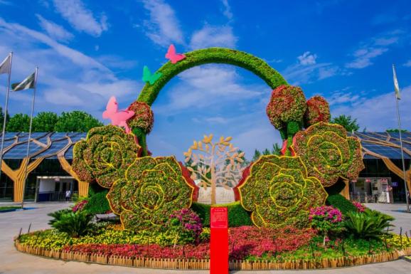 惊艳庆祝建党百年花坛扮靓郑州每一处都激动人心