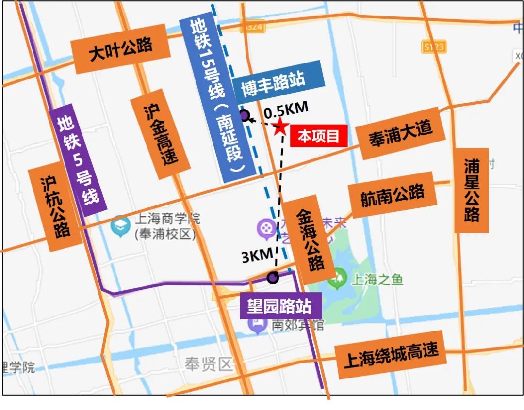 奉贤新城地图图片