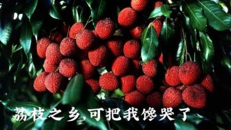 高州 | 中国最霸道的荔枝县，真被甜翻了