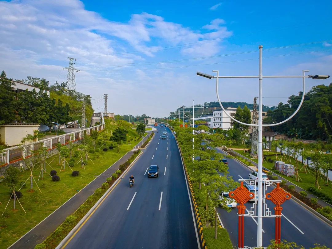 利用东部片区教育,医疗,商贸,土地等资源聚集优势,开发莲花大道两侧