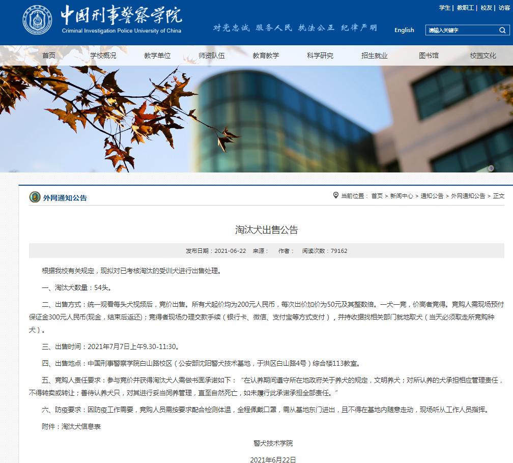 中国刑警学院出售淘汰犬 淘汰原因有运动能力不强 胆小等