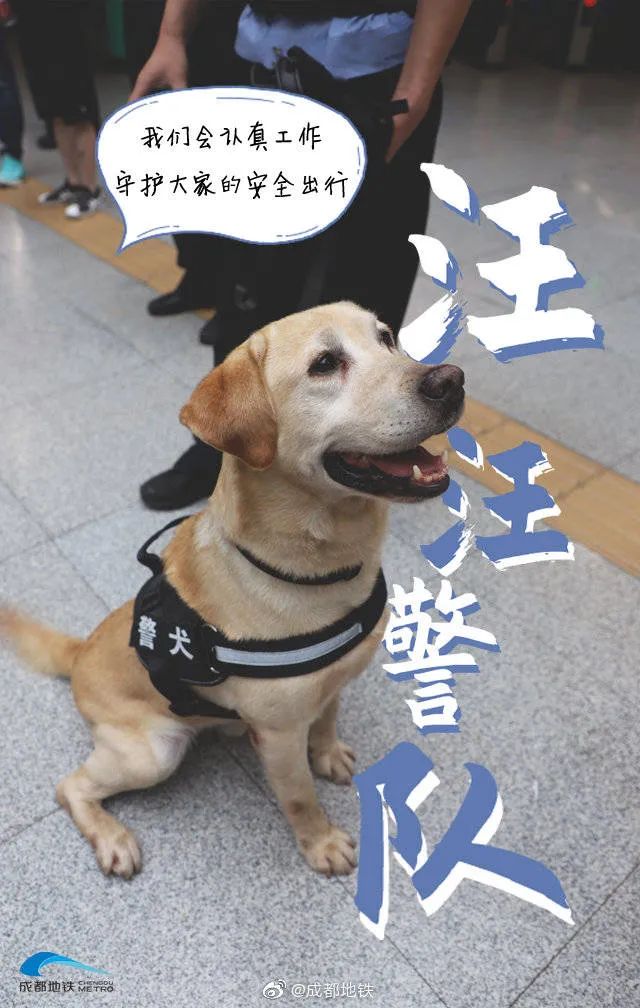 成都地铁汪汪队出动