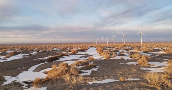 一天到晚追着风跑的人在戈壁荒滩怎么生活