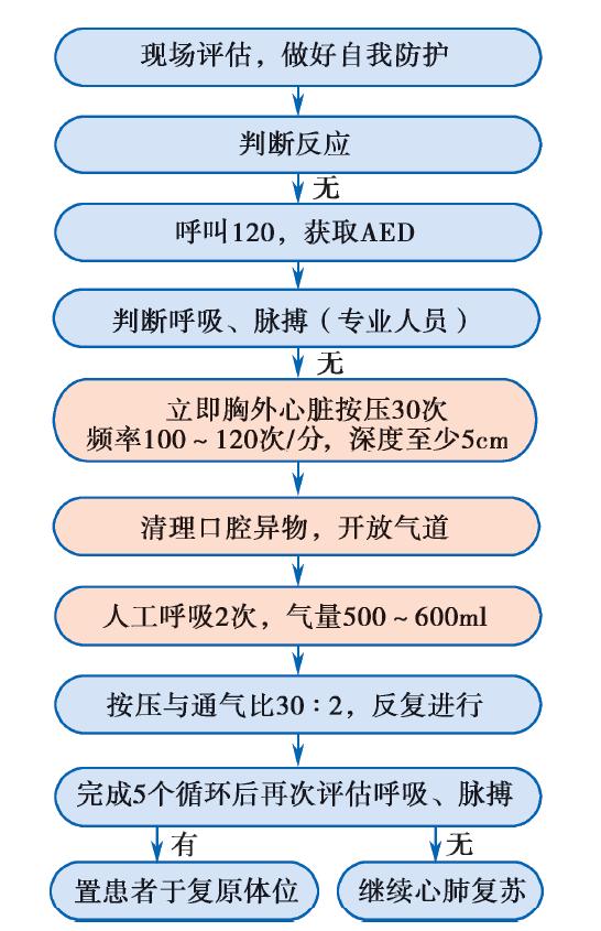 科普急救黄金四分钟我们可以做什么