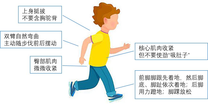 (强烈建议保存此图片哦)正确的健走姿势,下面一张图讲清楚!