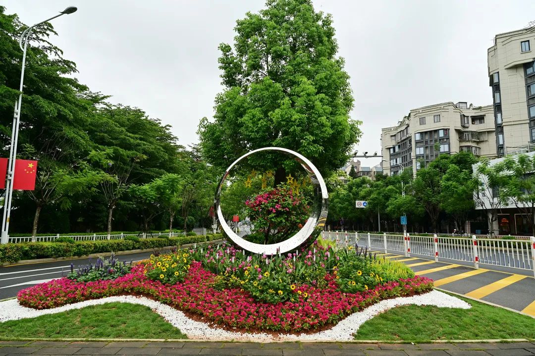 在南山路,交通岛选用多年生宿根花卉结合草花,营造节日氛围的同时兼顾