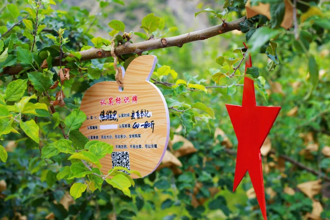 果树认养典型的田园综合体更是原生态景区是人文景观和自然景色的相