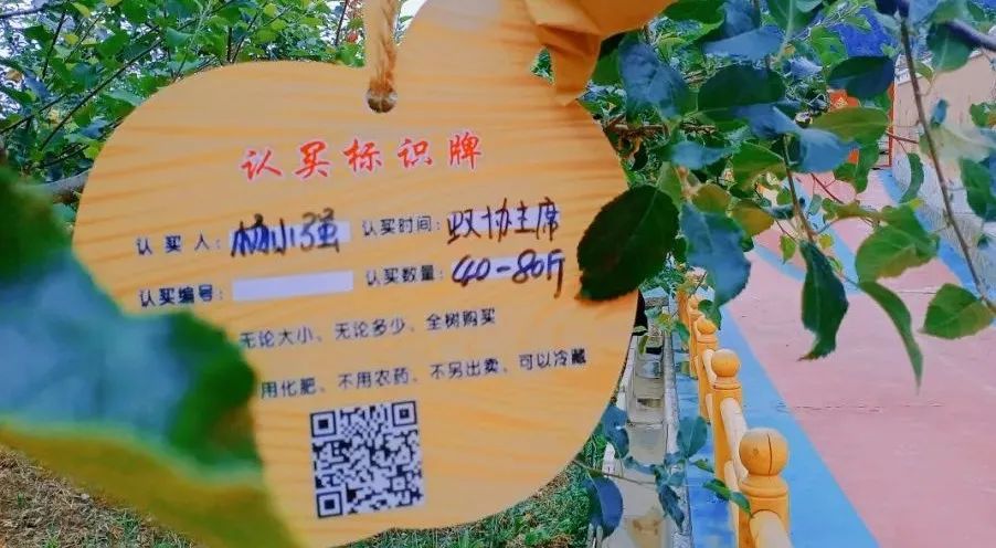 果树认养典型的田园综合体更是原生态景区是人文景观和自然景色的相