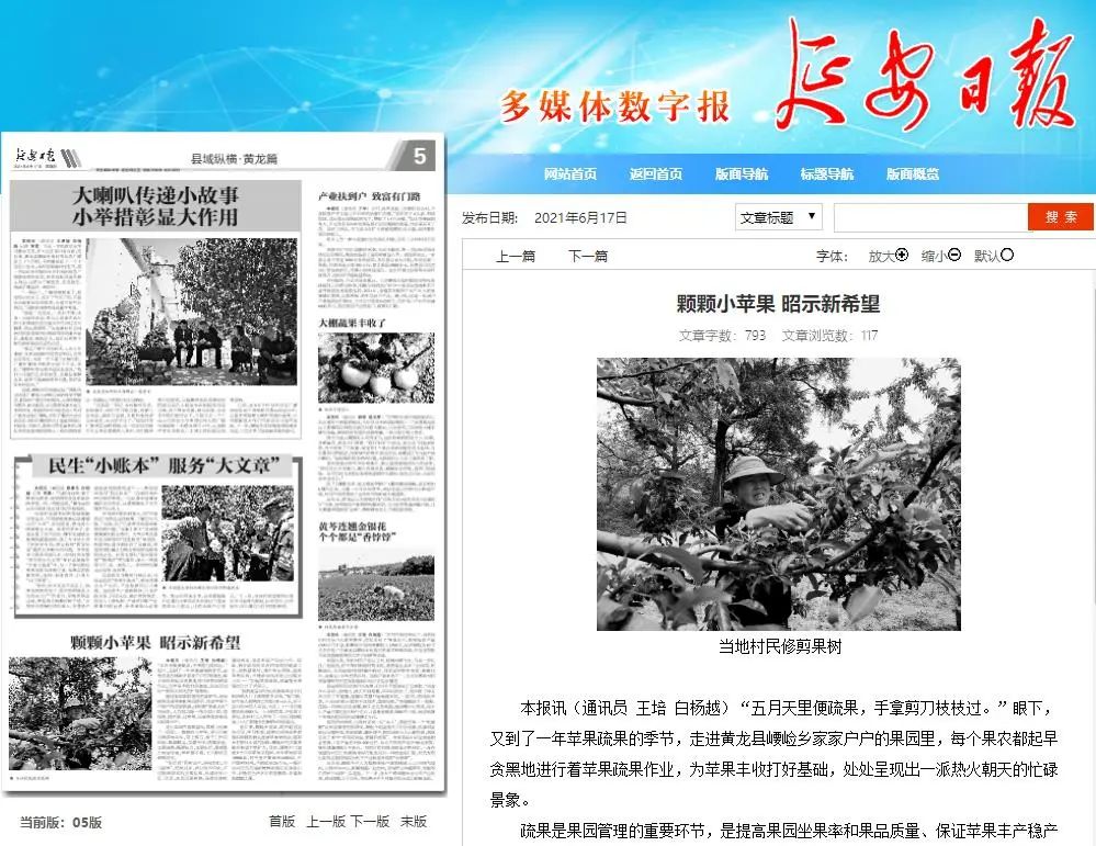 6月17日 延安日报 5版 颗颗小苹果 昭示新希望 (王培 白杨越)6月17日