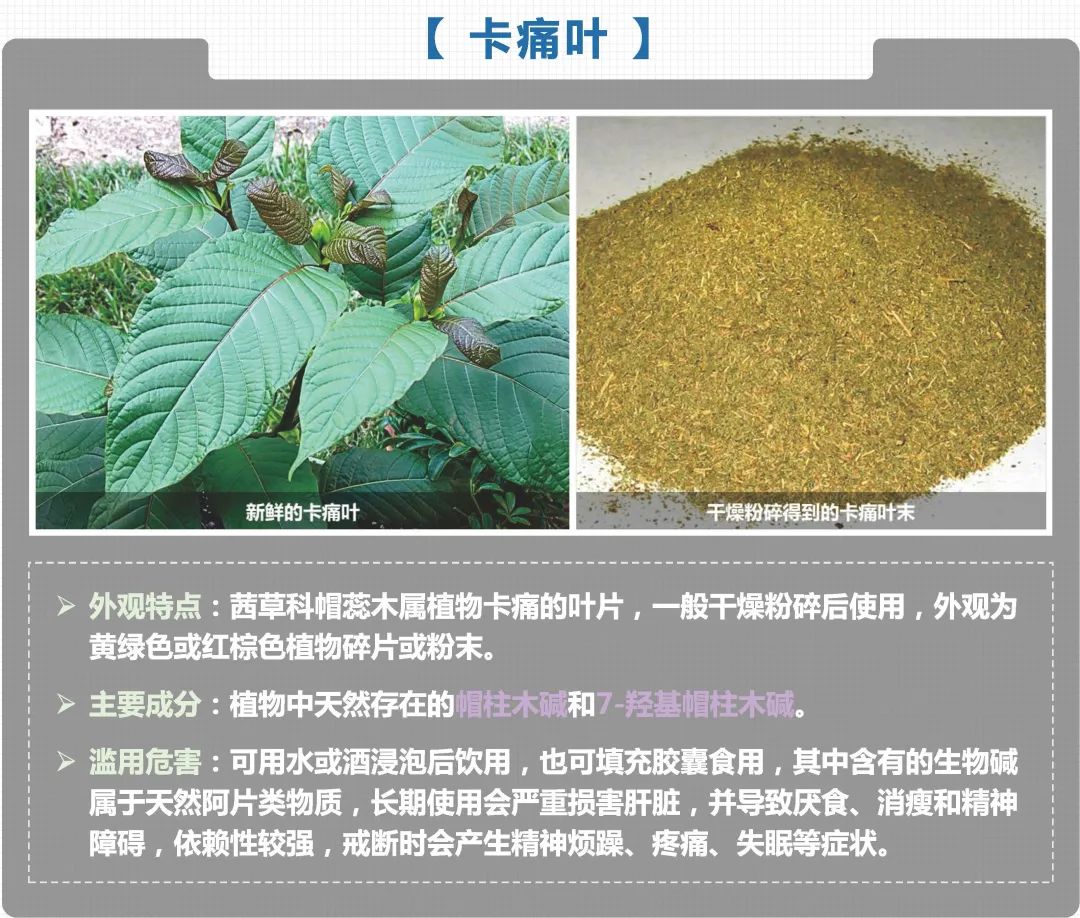 国际禁毒日世上没有后悔药莫让毒品毁人生