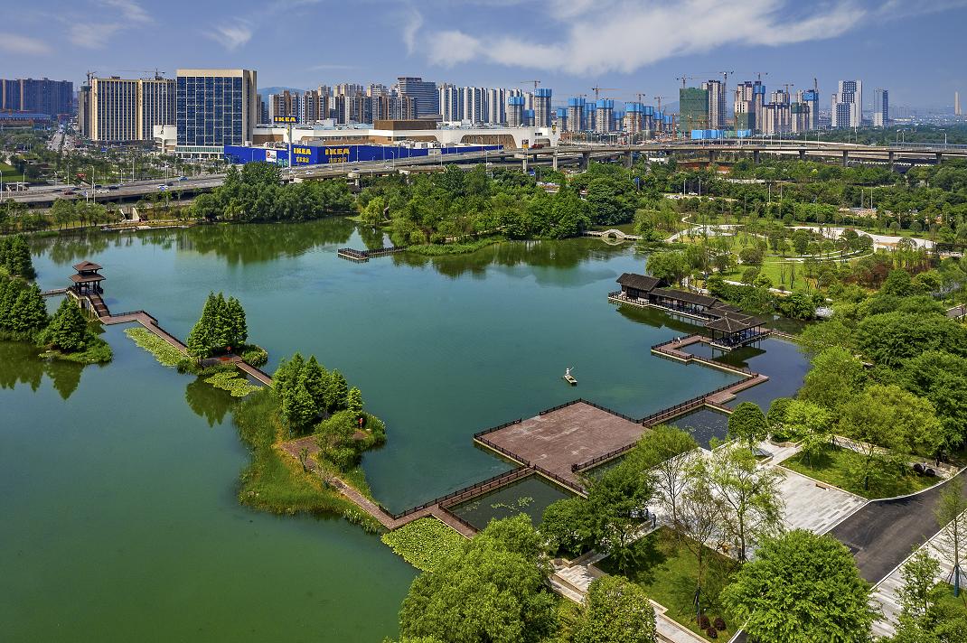 放慢脚步 快来新区洋湖国家湿地公园"清凉一夏"!