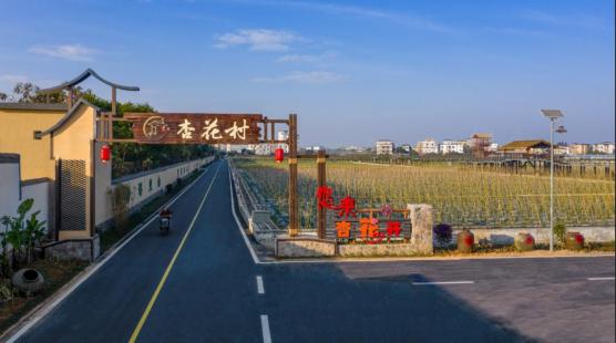 乡村旅游好去处!茂名市雅安卫校文化和旅游特色村等你来打卡→