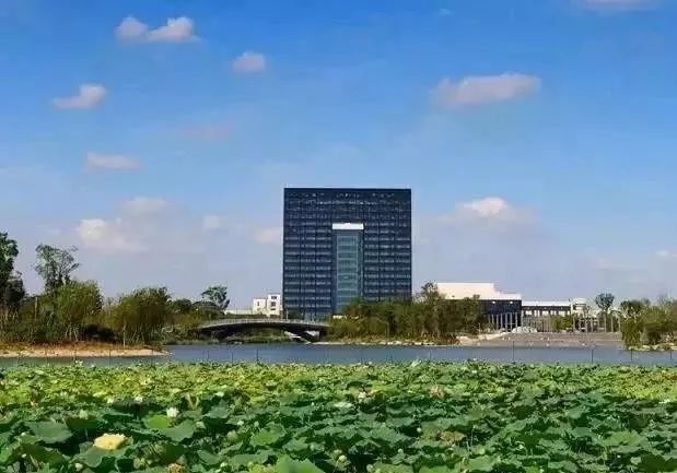 点缀了荷塘 整个荷塘高低有序 错落有致,相得益彰接天莲叶 南浔小莲庄