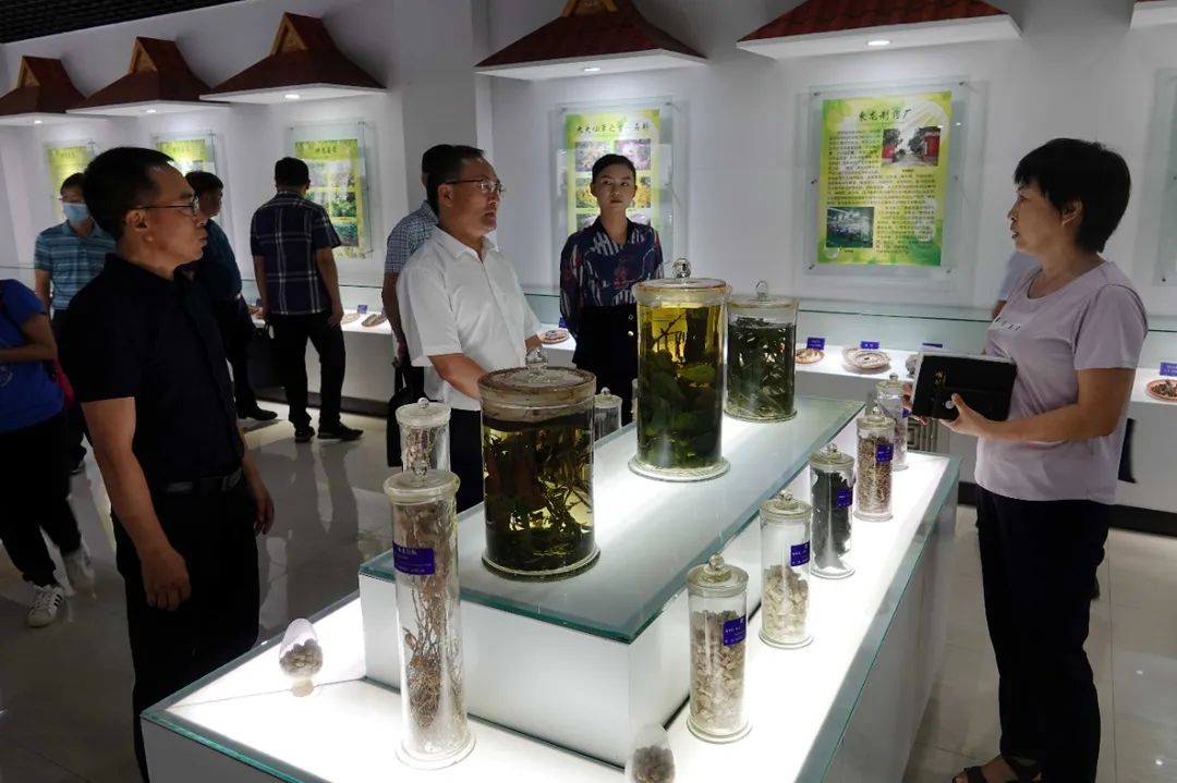 郑艺在调研傣药南药产业发展情况时强调推动傣药南药