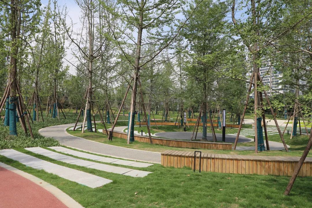 成华发布还不快来漫步在成华这个公园里可以看高铁