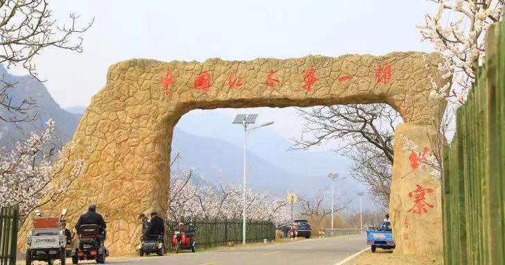 杏好有你北寨红杏明起在经开区甜蜜开售