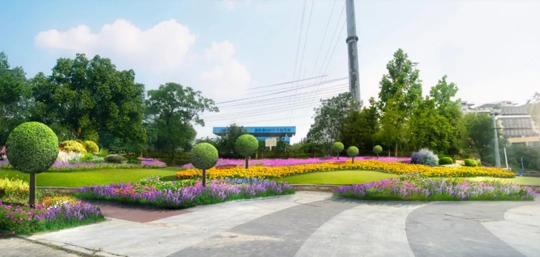 去除原有老化的地被植物,采用多层次,多色彩的花境组团,前景采用四季